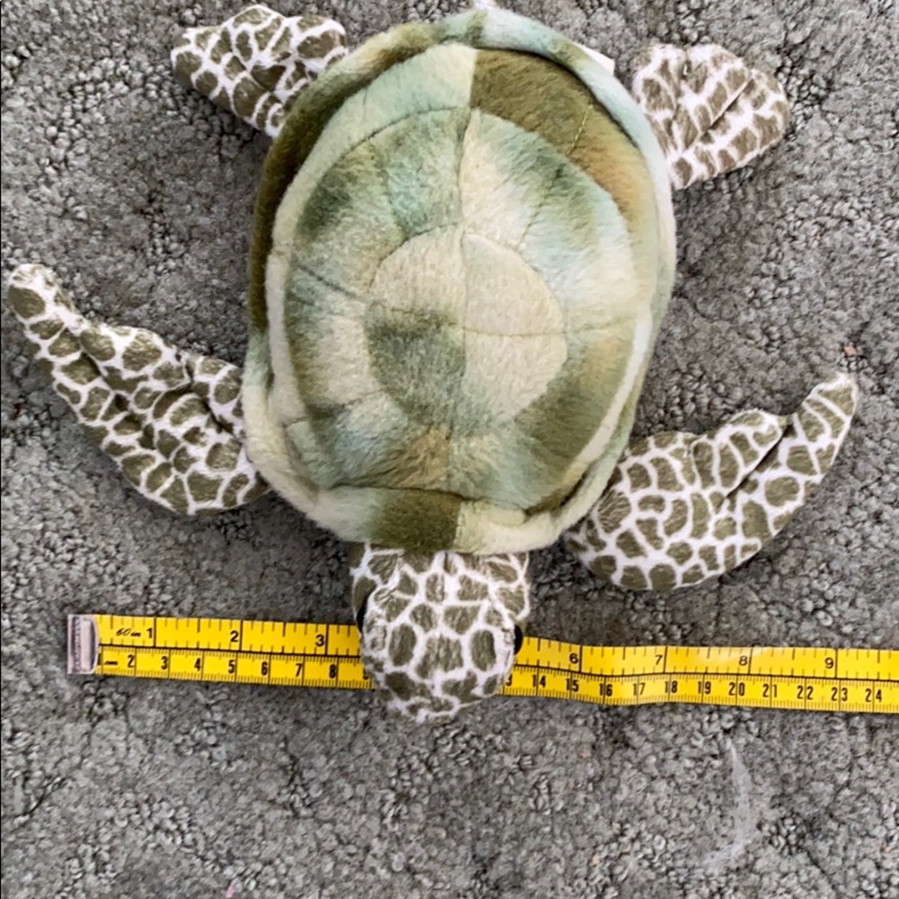 Cute turtle - Picture 3 of 4